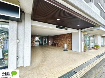 �G���g�����X�@-