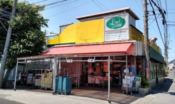 ���ӊ��@�����h���[���t�[�h�}�[�P�b�g�O��X �k��7���B 500m