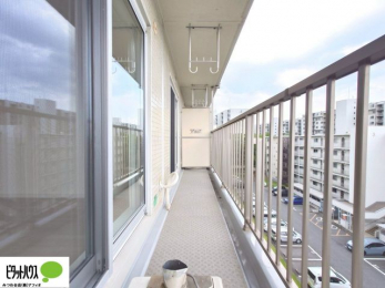 �o���R�j�[�@�z�c�₽������̐��󕨂������郏�C�h�o���R�j�[