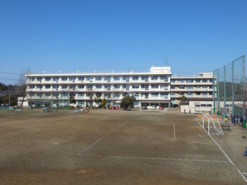 ���ӊ��@��t�s���΂��u���w�Z �k��15���B 1170m