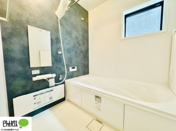 �����@�{�H��ʐ^�@�����������F���̗����ŁA1���̔��������������Ă��������B