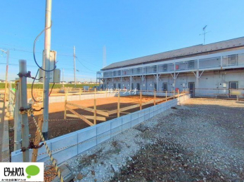 �@���n�����ʐ^�@12��8��