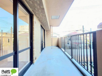 ���ց@�z������̗ǂ��L�X�o���R�j�[�B