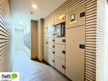 ���̑��@��z�{�b�N�X