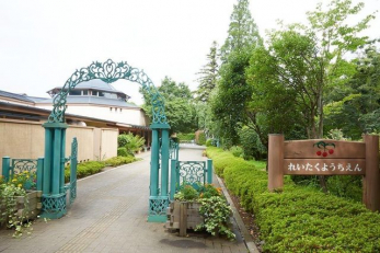 ���ӊ��@���V�c�t�� �k��10���B 800m