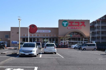 ���ӊ��@�G�R�X���q�X �k��4���B 310m