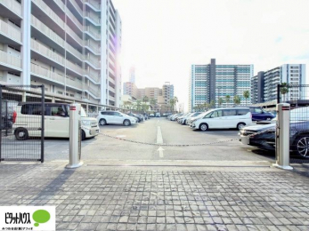 ���̑��@�J�[�X�y�[�X