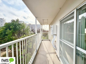 ���ց@�z������̗ǂ��L�X�o���R�j�[�B