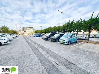 ���̑��@�J�[�X�y�[�X