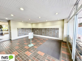 �G���g�����X�@�L�X�Ƃ������ꂢ�ȃG���g�����X