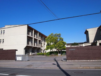 ���ӊ��@�N�Îs�������쒆�w�Z �k��7���B 550m