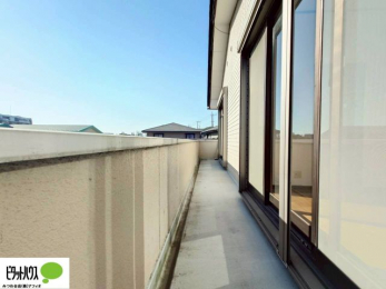 ���̑��@�z������̗ǂ��L�X�o���R�j�[�B