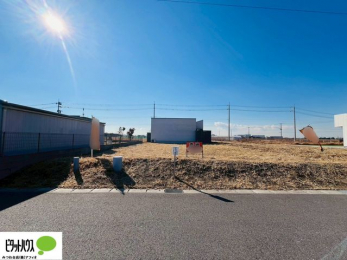 �y�n�ʐ^�@�~�n�L�X��88�؁I