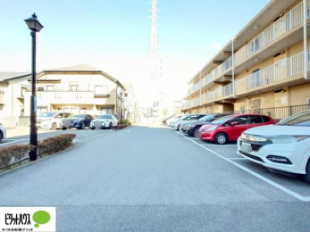 ���̑��@�J�[�X�y�[�X