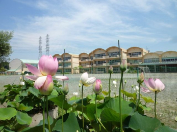 ���ӊ��@��t�s�����䏬�w�Z �k��7���B 550m