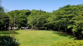 ���ӊ��@��u�Ì��� �k��18���B 1400m