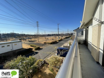 ���̑��@�z�c�₽������̐��󕨂������郏�C�h�o���R�j�[