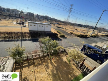 ���̑��@�o���R�j�[����̒��]�B