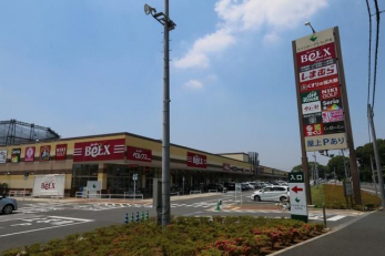 ���ӊ��@���C�t�K�[�f���m�˖� �k��25���B 1960m