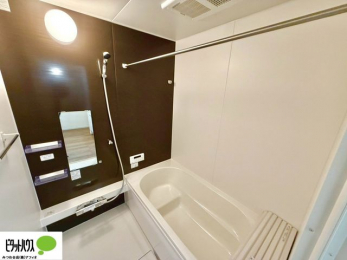 �����@�{�H��ʐ^�@�����������F���̗����ŁA1���̔��������������Ă��������B