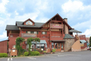 ���ӊ��@�s�[�^�[�p�������̋� �k��4���B 300m