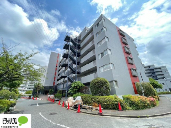 ���̑��@��щw����k��19��