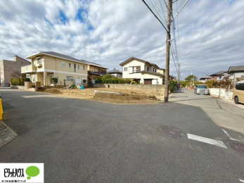 �O�ώʐ^�@1��20�����n����