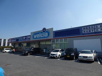 ���ӊ��@�E�G���V�A��t�����R�X �k��4���B 320m