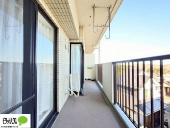 ���̑��@�z�c�₽������̐��󕨂������郏�C�h�o���R�j�[