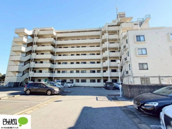 ���ԏ�@�}�ȗ��q�ɂ����S2��Ƃ߂��܂��B