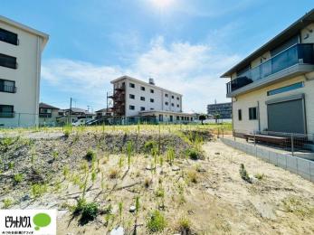 ���̑��@7/31