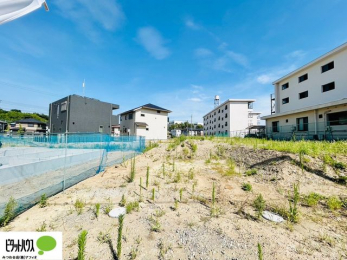 �y�n�ʐ^�@7/31