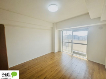 ���̑����ρ@�傫�ȑ����疾�邢�z�˂�������܂��B