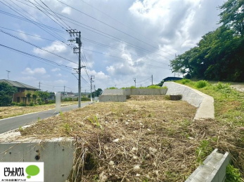 �y�n�ʐ^�@�~�n�L�X45�ؒ��B