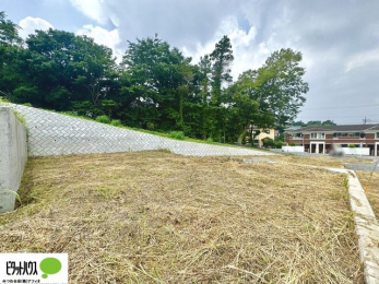 �y�n�ʐ^�@�~�n�L�X45�ؒ��B