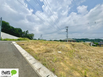 �y�n�ʐ^�@�~�n�L�X45�ؒ��B