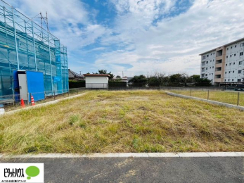 �y�n�ʐ^�@�~�n�L�X��57�؁I