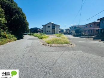 �O�ώʐ^�@�p�n�ɂ��z�����蕗�ʂ��ǍD�ł�