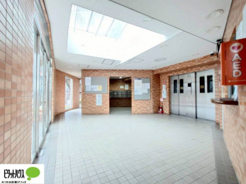 ���r���O�@�L�X�Ƃ������ꂢ�ȃG���g�����X