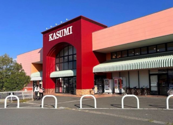 ���ӊ��@�J�X�~ �t�[�h�}�[�P�b�g ��ԓX �k��8���B 630m