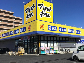 ���ӊ��@�}�c���g�L���V���q���X �k��5���B 330m