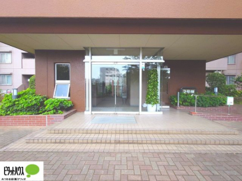 �G���g�����X�@�L�X�Ƃ������ꂢ�ȃG���g�����X