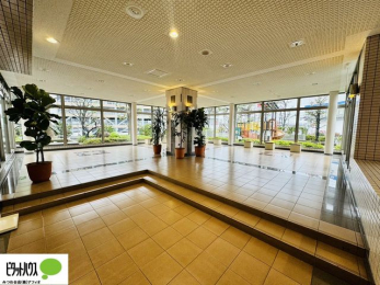 ���̑��@�G���g�����X