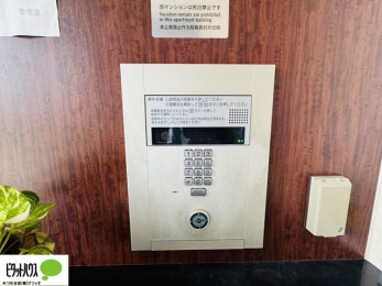 ���̑��@�I�[�g���b�N