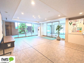 ���̑��@���r�[