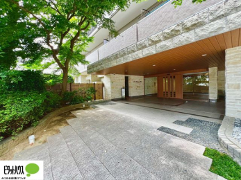 �G���g�����X�@�L�X�Ƃ������ꂢ�ȃG���g�����X�B