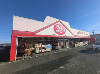 ���ӊ��@���b�N�X�h���b�O������X �k��47���B 3730m