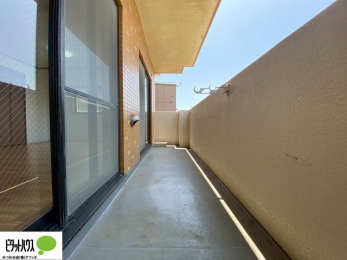 �o���R�j�[�@�z�c�₽������̐��󕨂������郏�C�h�o���R�j�[