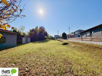 �y�n�ʐ^�@�~�n�L�X��135��