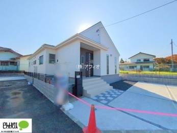 �O�ώʐ^�@���n�����ʐ^�F2025�N11��7��